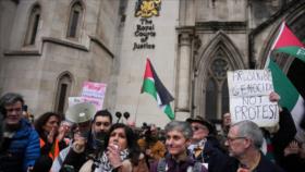 Analista: Equiparar apoyo a Gaza con terrorismo es irracional