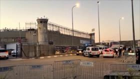 Israel planea aplicar pena de muerte a presos palestinos