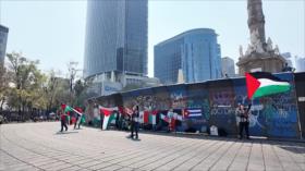 Mexicanos no desisten en su lucha contra el genocidio en Gaza
