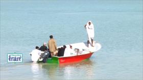 Descubre Irán: El puerto de Beris en Sistán y Baluchistán - Parte 2