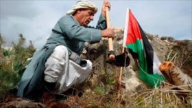 Palestina: Día de la tierra y medio siglo de recuerdos
