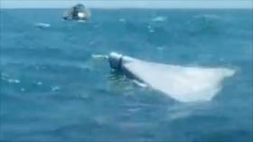 CGRI de Irán derriba un dron suicida LUCAS de EEUU en Golfo Pésico