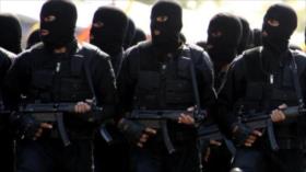 Irán detiene a 19 mercenarios terroristas y le incauta 137 armas