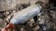 14 miembros del CGRI martirizados por bombas remanentes de EEUU-Israel