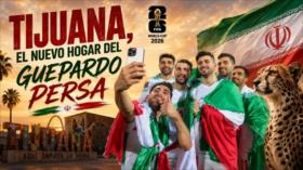 Tijuana, el nuevo hogar del Guepardo Persa: cuando EEUU no quiso a Irán, México le abrió los brazos