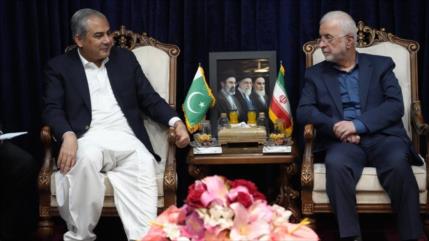 Ministro del Interior de Pakistán llega a Teherán para abordar diálogos Irán-EEUU
