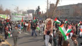 Activistas de Flotilla Sumud marchan en Santiago de Chile en apoyo a Palestina