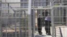 ONG urge liberación de palestinas embarazadas detenidas por Israel