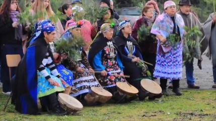 Mapuches alertan de leyes que cederían sus tierras a israelíes