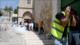 Palestina denuncia “nuevo crimen de judaización” contra Mezquita Ibrahimi