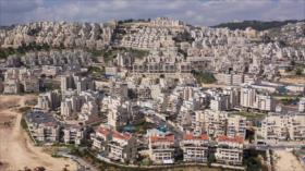 Israel roba 46,5 hectáreas más de tierras palestinas en Cisjordania