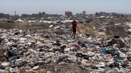 El calor y falta de higiene disparan las plagas en los campamentos de Gaza