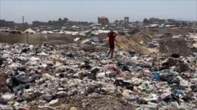 El calor y falta de higiene disparan las plagas en los campamentos de Gaza