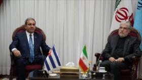 Ministro iraní resalta teoría de la ‘economía de resistencia’ del Líder mártir