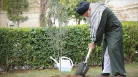 Fotos: Ayatolá Jamenei promovió la protección ambiental; plantaba árboles