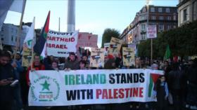 HAMAS celebra la prohibición irlandesa a productos de asentamientos