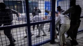 HRW condena proyecto israelí de foso con cocodrilos en prisión para palestinos
