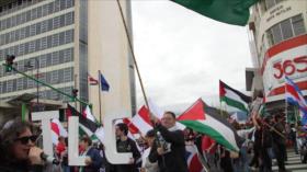 La Semilla Palestina en Costa Rica| Minidocu