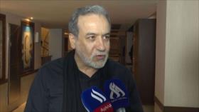 ‘Arbaín es una gran expresión de la unidad nacional entre Irán e Irak’
