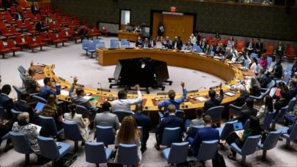 Ansarolá: El Consejo de Seguridad de la ONU ha perdido credibilidad