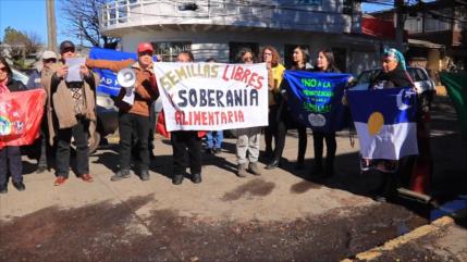 Mapuches y campesinos rechazan consulta sobre semillas en Chile