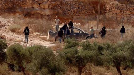 Informe: 7 días de asedio israelí en Qusra, una realidad en Cisjordania