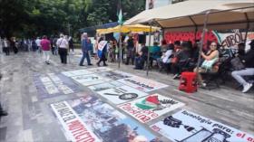 En México mantienen solidaridad con Palestina y exigen romper con Israel
