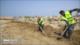 Voluntarios en Qeshm limpian áreas contaminadas por agresión extranjera