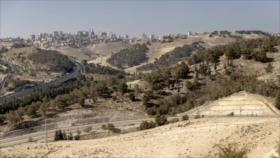 UE insta a Israel a frenar expansión de asentamientos en Cisjordania
