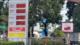 EEUU presiona a Guatemala para importar etanol y mezclarlo con gasolina