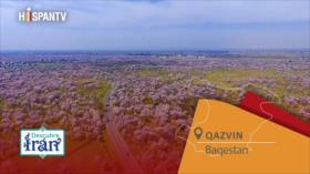 Descubre Irán: Baqestan, joya agrícola milenaria de Qazvin