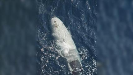 Irán captura un submarino no tripulado de EEUU en el estrecho de Ormuz