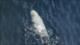 Irán captura un submarino no tripulado de EEUU en el estrecho de Ormuz