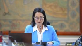 Nuevos embajadores de Fujimori generan críticas por sus perfiles políticos