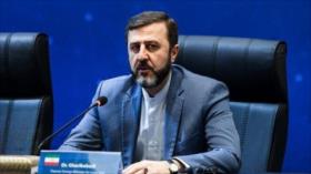 Irán destaca coincidencias con declaración de Nueva Delhi de BRICS
