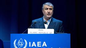 Informe: EEUU bloquea participación de jefe nuclear iraní en AIEA