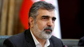 Irán alerta: Veto al jefe nuclear iraní en la AIEA sienta un precedente peligroso