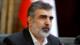 Irán alerta: Veto al jefe nuclear iraní en la AIEA sienta un precedente peligroso