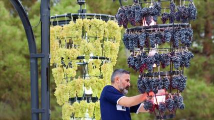 Irán revive sus tradiciones con el Festival de la Uva en Urmía