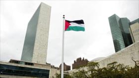 Palestina ante la ONU respalda declaraciones del presidente iraní