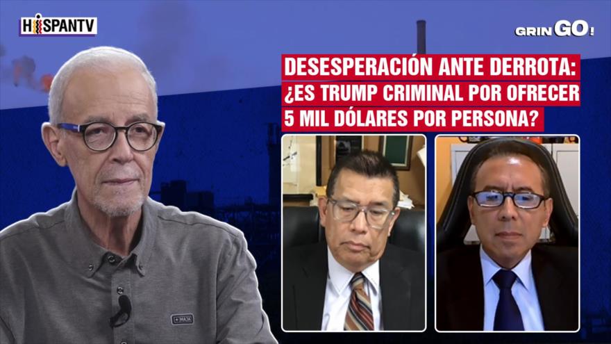 Desesperación ante derrota: ¿Es Trump criminal por ofrecer 5 mil dólares por persona? | GrinGo!