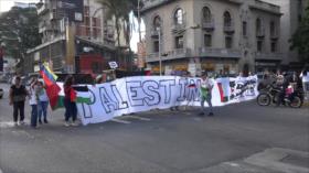 Venezuela conmemora el Día de la Bandera Palestina en apoyo a Gaza