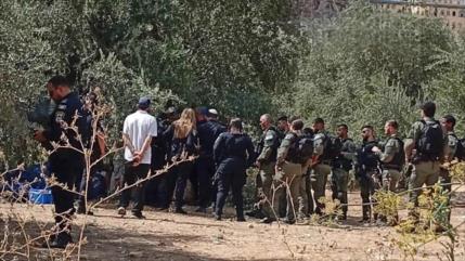 Colonos atacan viviendas y olivares palestinos en Cisjordania