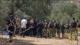 Colonos atacan viviendas y olivares palestinos en Cisjordania