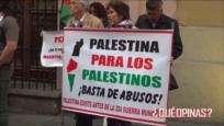 Israel sigue bombardeando Gaza pese a alto al fuego| ¿Qué opinas?