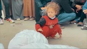 Niños de Gaza sufren graves secuelas psicológicas por la guerra