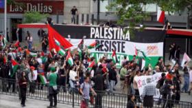 Miles marchan en Chile contra el sionismo y en apoyo a Palestina
