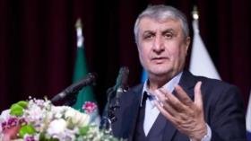 Irán critica a AIEA por ceder ante la presión de EEUU e Israel
