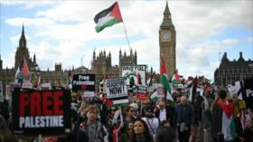 Miles marchan por Europa para exigir el fin del genocidio en Gaza