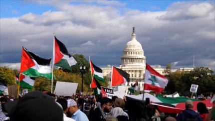 Acciones globales por Palestina y las excusas de los genocidas